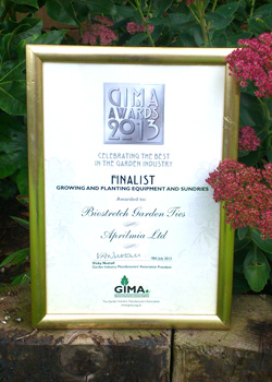 GIMA Finalist Award